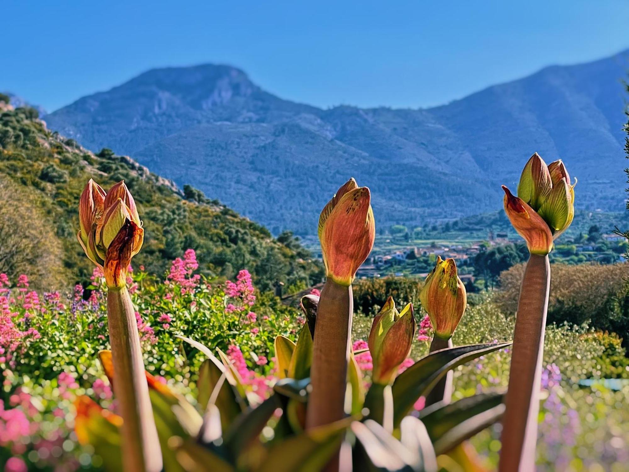 Castell De La Solana Country house *